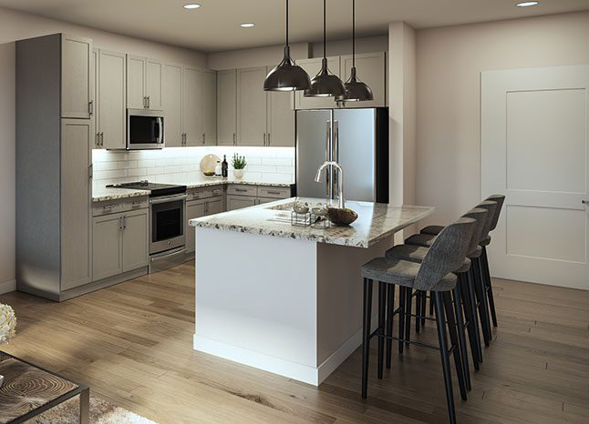 Kitchen Features
