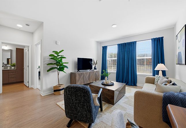 Convenience Features