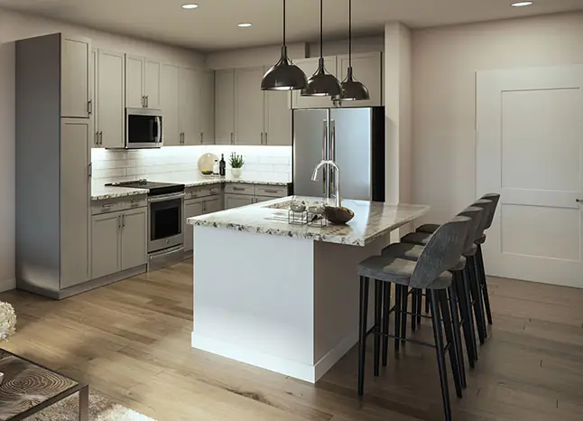 Kitchen Features